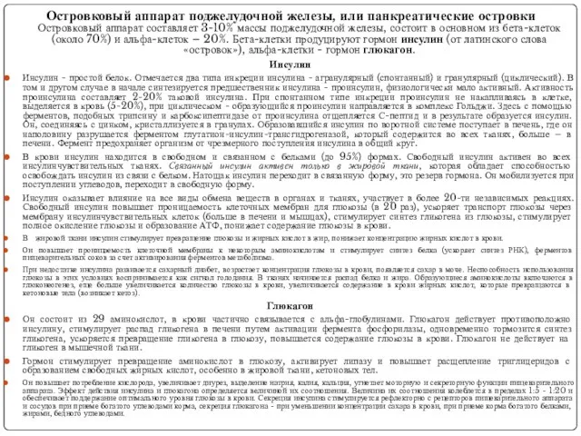 Островковый аппарат поджелудочной железы, или панкреатические островки Островковый аппарат составляет