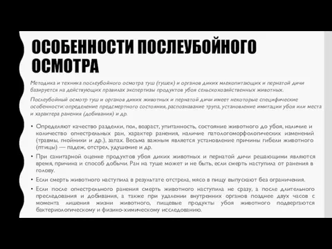 ОСОБЕННОСТИ ПОСЛЕУБОЙНОГО ОСМОТРА Методика и техника послеубойного осмотра туш (тушек)