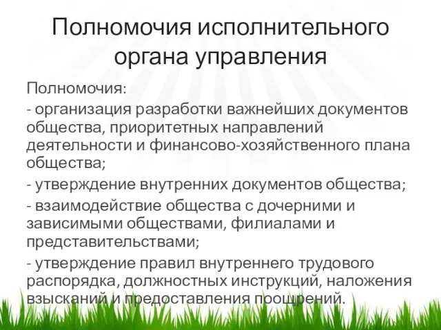 Полномочия исполнительного органа управления Полномочия: - организация разработки важнейших документов