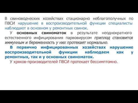 В свиноводческих хозяйствах стационарно неблагополучных по ПВСИ нарушение в воспроизводительной