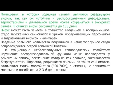 Помещения, в которых содержат свиней, являются резервуаром вируса, так как