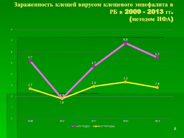 Зараженность клещей вирусом клещевого энцефалита в РБ в 2009 - 2013 гг. (методом ИФА)