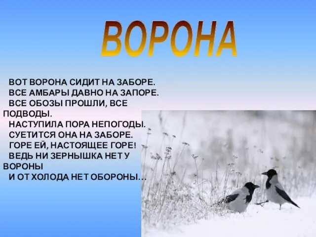 ВОТ ВОРОНА СИДИТ НА ЗАБОРЕ. ВСЕ АМБАРЫ ДАВНО НА ЗАПОРЕ.