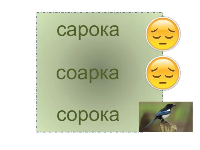 сорока сарока соарка