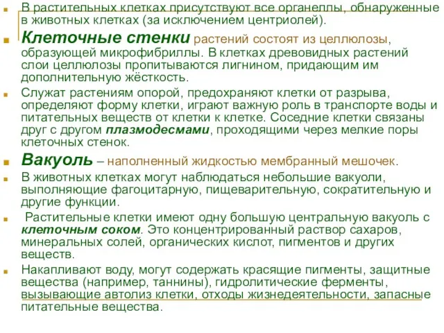 В растительных клетках присутствуют все органеллы, обнаруженные в животных клетках