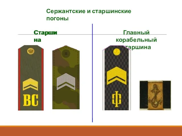 Сержантские и старшинские погоны Старшина Главный корабельный старшина Старшина