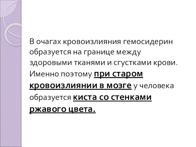 В очагах кровоизлияния гемосидерин образуется на границе между здоровыми тканями