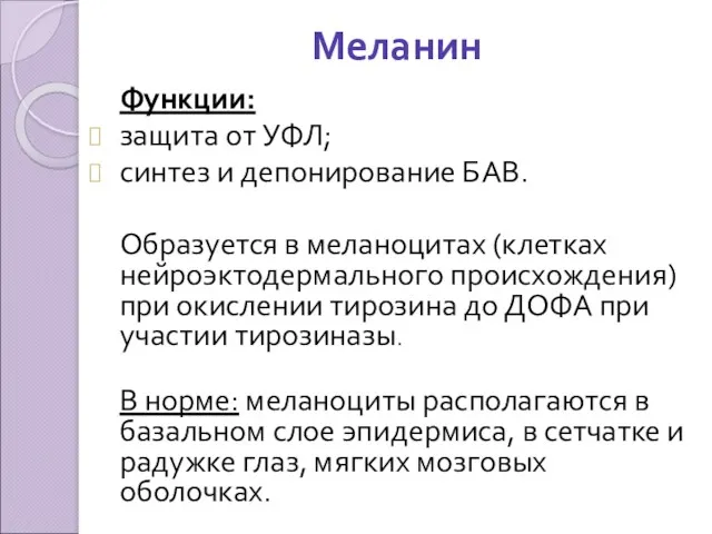 Меланин Функции: защита от УФЛ; синтез и депонирование БАВ. Образуется