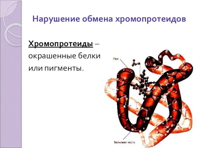 Нарушение обмена хромопротеидов Хромопротеиды – окрашенные белки или пигменты.