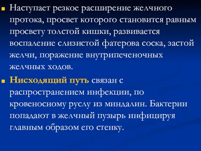 Наступает резкое расширение желчного протока, просвет которого становится равным просвету