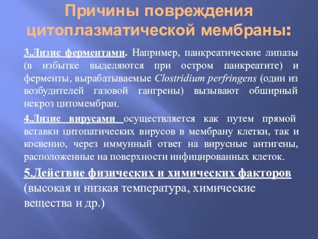 Причины повреждения цитоплазматической мембраны: 3.Лизис ферментами. Например, панкреатические липазы (в