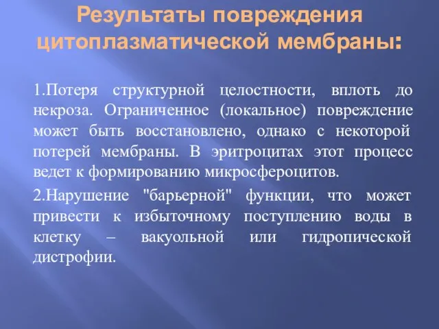 Результаты повреждения цитоплазматической мембраны: 1.Потеря структурной целостности, вплоть до некроза.