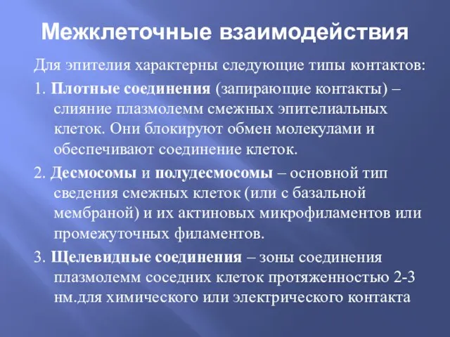 Межклеточные взаимодействия Для эпителия характерны следующие типы контактов: 1. Плотные