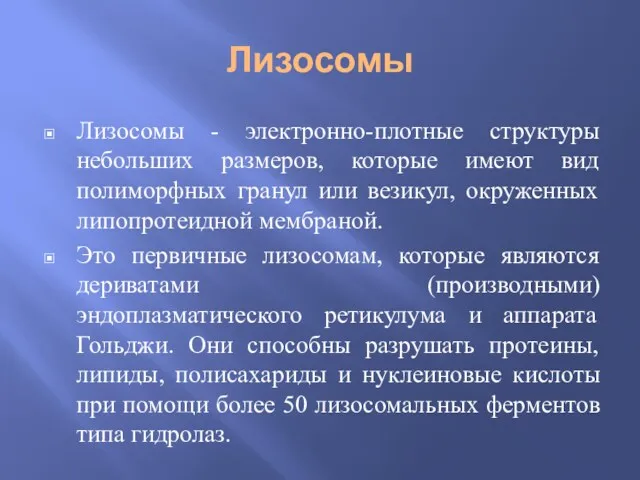 Лизосомы Лизосомы - электронно-плотные структуры небольших размеров, которые имеют вид