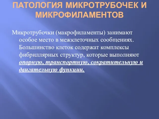 ПАТОЛОГИЯ МИКРОТРУБОЧЕК И МИКРОФИЛАМЕНТОВ Микротрубочки (макрофиламенты) занимают особое место в