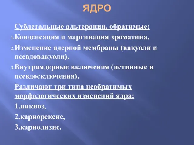 ЯДРО Сублетальные альтерации, обратимые: Конденсация и маргинация хроматина. Изменение ядерной