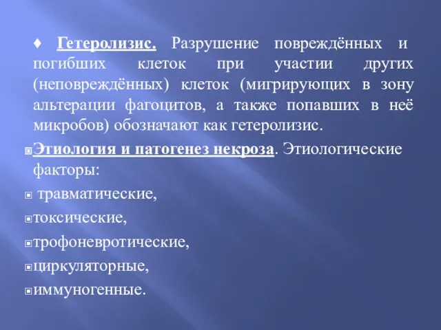 ♦ Гетеролизис. Разрушение повреждённых и погибших клеток при участии других