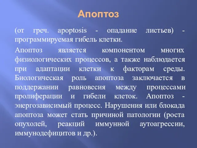 Апоптоз (от греч. apoptosis - опадание листьев) - программируемая гибель