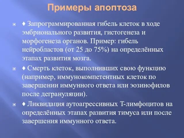 Примеры апоптоза ♦ Запрограммированная гибель клеток в ходе эмбрионального развития,