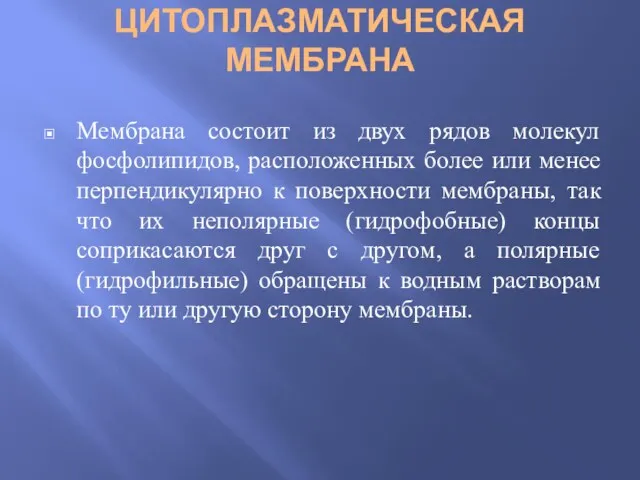 ЦИТОПЛАЗМАТИЧЕСКАЯ МЕМБРАНА Мембрана состоит из двух рядов молекул фосфолипидов, расположенных