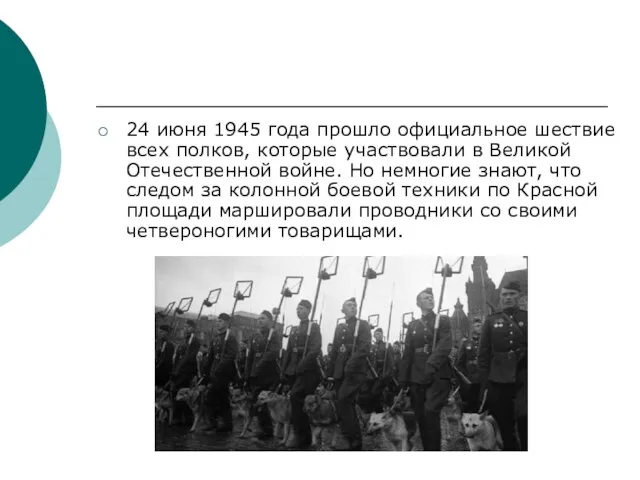 24 июня 1945 года прошло официальное шествие всех полков, которые участвовали в Великой