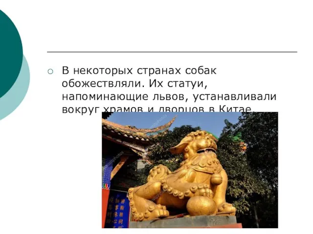 В некоторых странах собак обожествляли. Их статуи, напоминающие львов, устанавливали вокруг храмов и дворцов в Китае.