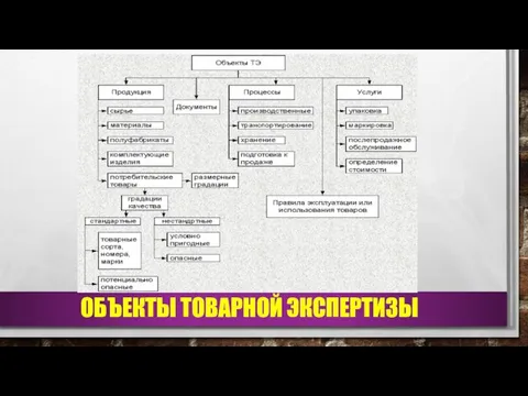 ОБЪЕКТЫ ТОВАРНОЙ ЭКСПЕРТИЗЫ