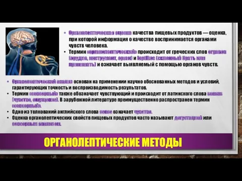 Органолептическая оценка качества пищевых продуктов — оценка, при которой информация