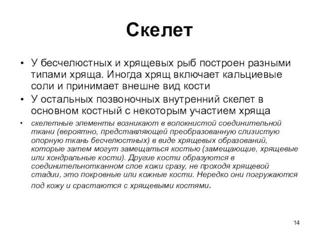 Скелет У бесчелюстных и хрящевых рыб построен разными типами хряща.