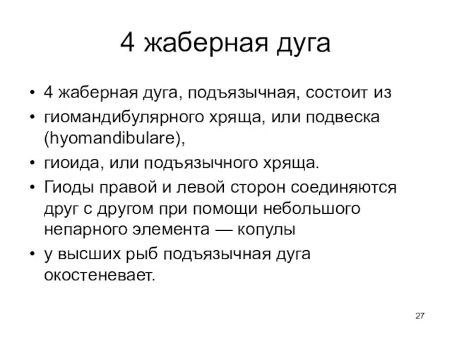 4 жаберная дуга 4 жаберная дуга, подъязычная, состоит из гиомандибулярного