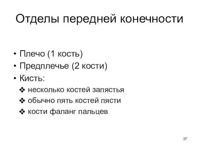 Отделы передней конечности Плечо (1 кость) Предплечье (2 кости) Кисть: