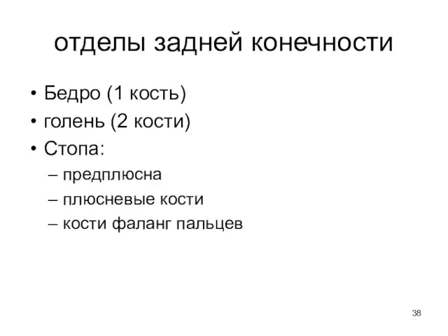 отделы задней конечности Бедро (1 кость) голень (2 кости) Стопа: предплюсна плюсневые кости кости фаланг пальцев