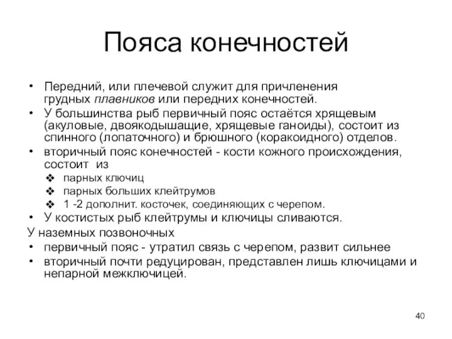 Пояса конечностей Передний, или плечевой служит для причленения грудных плавников