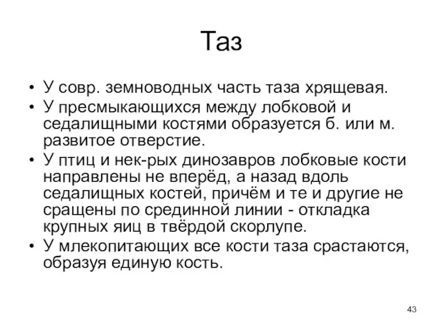 Таз У совр. земноводных часть таза хрящевая. У пресмыкающихся между