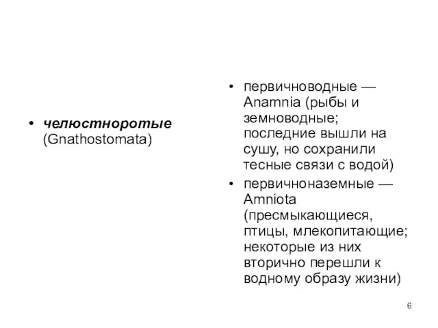 челюстноротые (Gnathostomata) первичноводные — Anamnia (рыбы и земноводные; последние вышли