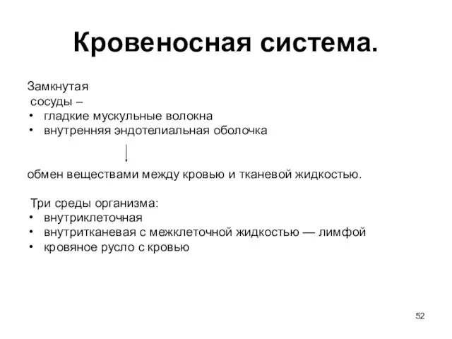 Кровеносная система. Замкнутая сосуды – гладкие мускульные волокна внутренняя эндотелиальная