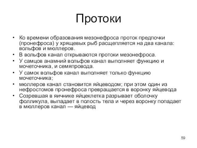 Протоки Ко времени образования мезонефроса проток предпочки (пронефроса) у хрящевых