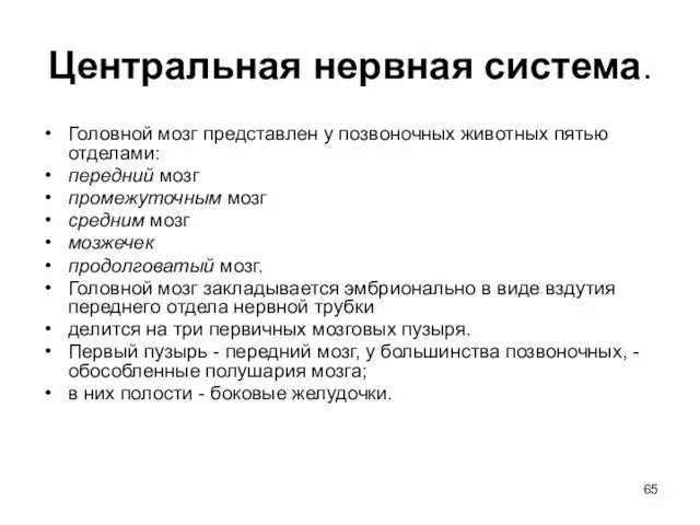 Центральная нервная система. Головной мозг представлен у позвоночных животных пятью