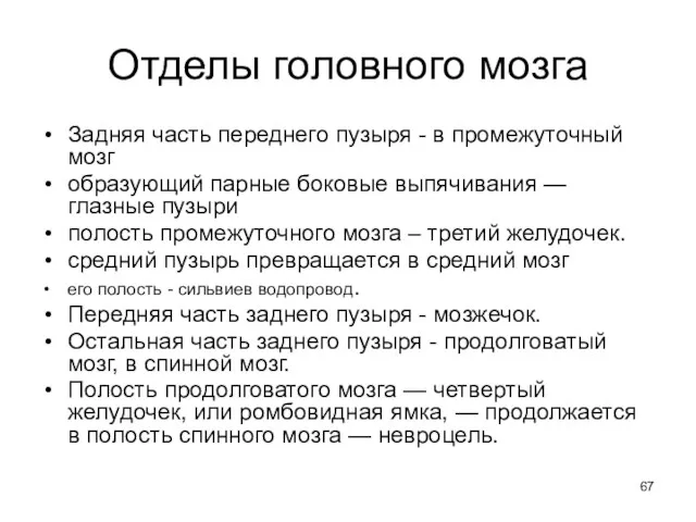 Отделы головного мозга Задняя часть переднего пузыря - в промежуточный