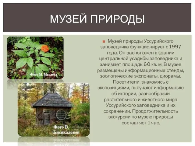 Музей природы Уссурийского заповедника функционирует с 1997 года. Он расположен