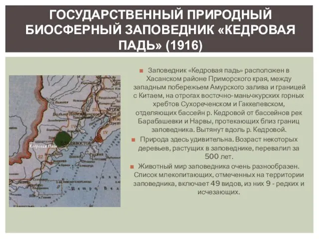 Заповедник «Кедровая падь» расположен в Хасанском районе Приморского края, между