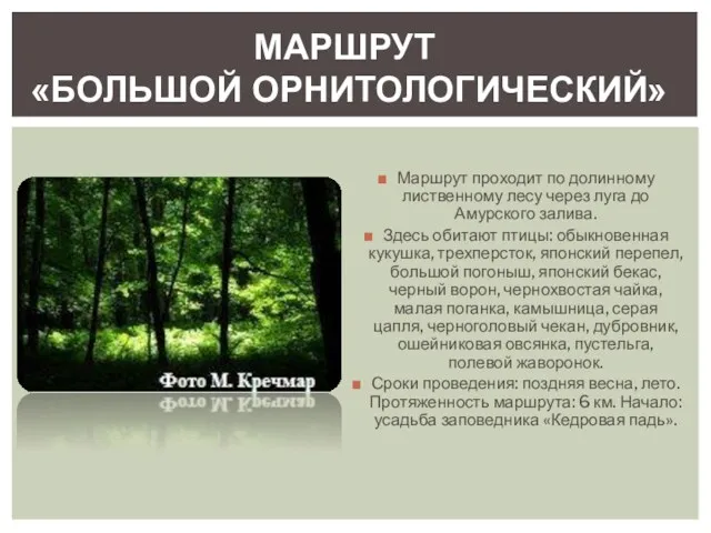 Маршрут проходит по долинному лиственному лесу через луга до Амурского