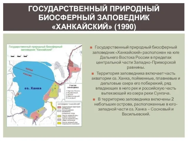 Государственный природный биосферный заповедник «Ханкайский» расположен на юге Дальнего Востока