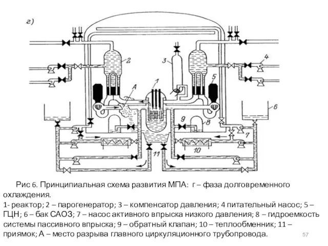 Рис 6. Принципиальная схема развития МПА: г – фаза долговременного