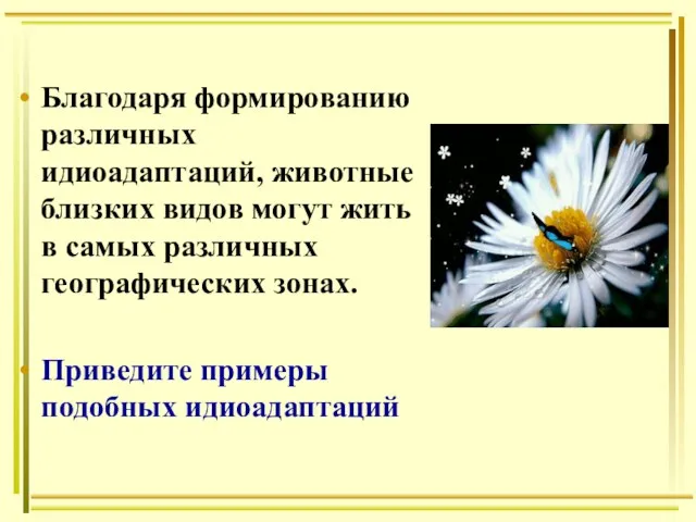 Благодаря формированию различных идиоадаптаций, животные близких видов могут жить в