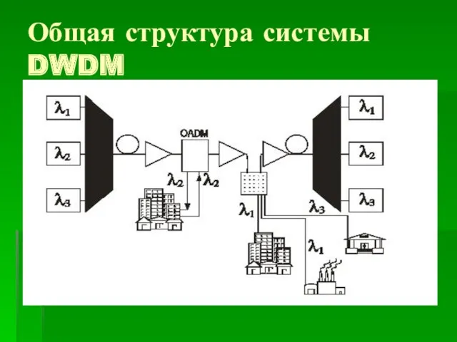 Общая структура системы DWDM