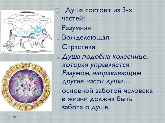 Душа состоит из 3-х частей: Разумная Вожделеющая Страстная Душа подобна