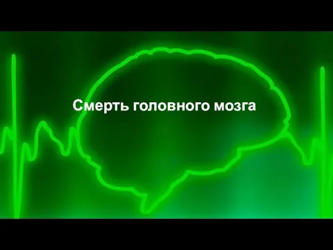 Смерть головного мозга