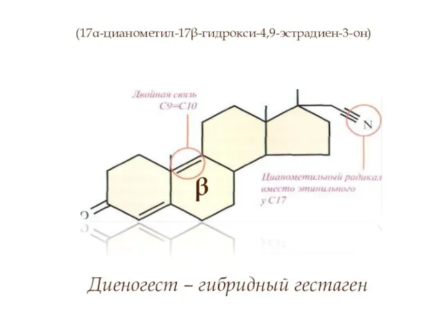 β (17α-цианометил-17β-гидрокси-4,9-эстрадиен-3-он) Диеногест – гибридный гестаген