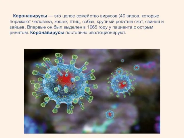 Коронавирусы — это целое семейство вирусов (40 видов, которые поражают человека, кошек, птиц,